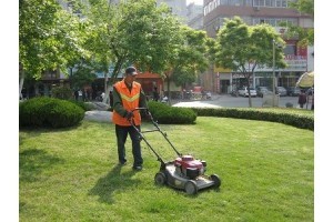 梅溪湖绿化养护管理 长沙河西绿色植物的守护者——长沙市望城区宇林花卉园