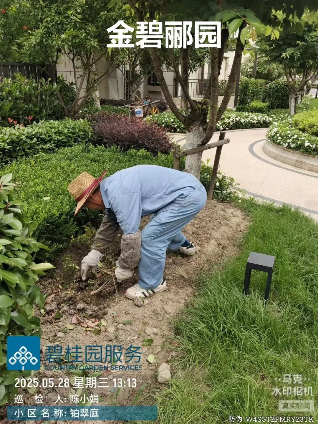 金山区住宅小区“满鑫物业”攻坚提升专项行动之绿化养护篇