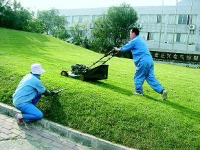 栖霞区服务好的园林养护价格参考与南京春之恋景观工程优势解读