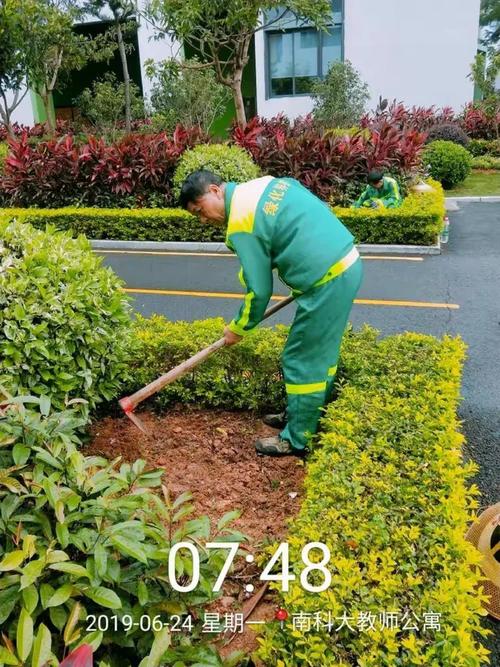 校园绿化养护工作汇报